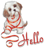 dog40.gif Hello image by Not-Home-Yet