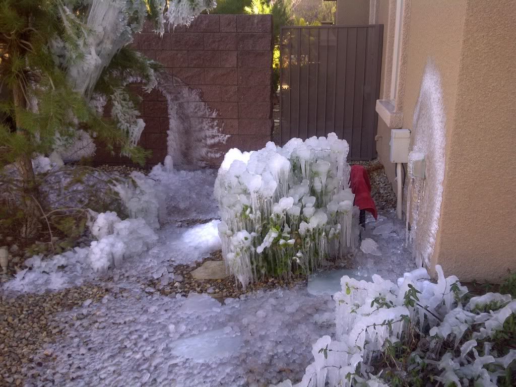 Frozen Vacuum Breaker Frozen Vacuum Breaker