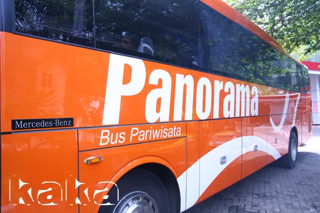 Panorama Bus