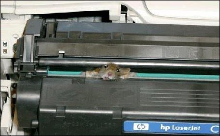 mouseinprinter.jpg