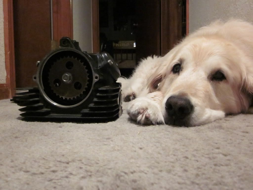 [Image: IMG_0084.jpg]