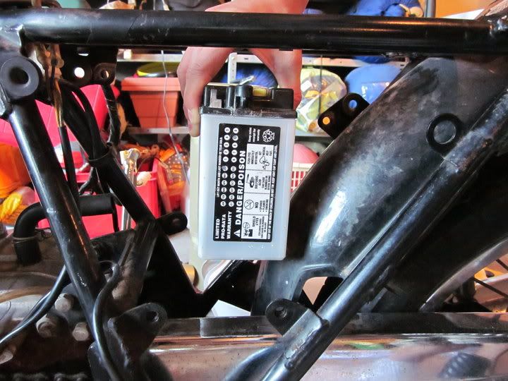 [Image: batinframe.jpg]