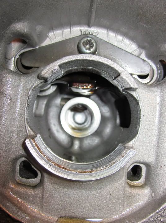 [Image: headstripped.jpg]