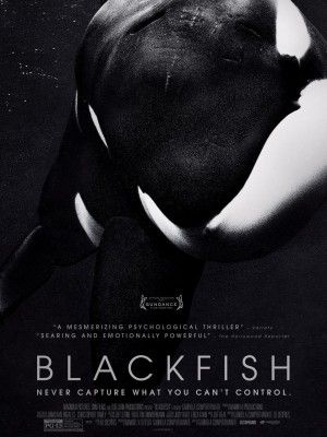photo blackfish-poster_zpsdfef2fe3.jpg