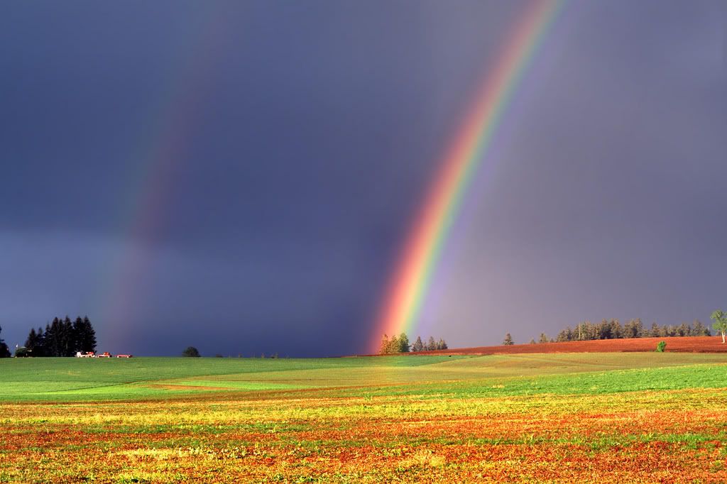 Background93.jpg